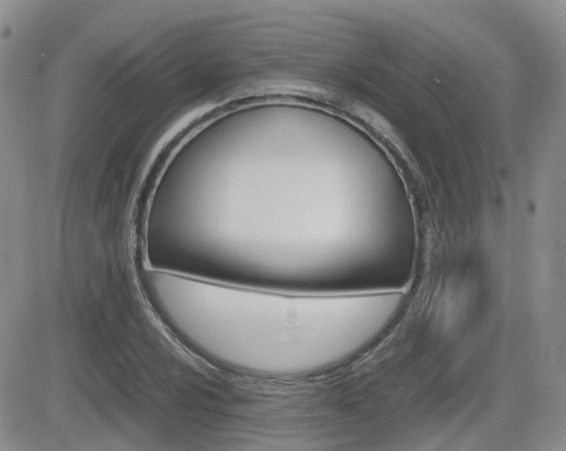 X0000082701024200701260924