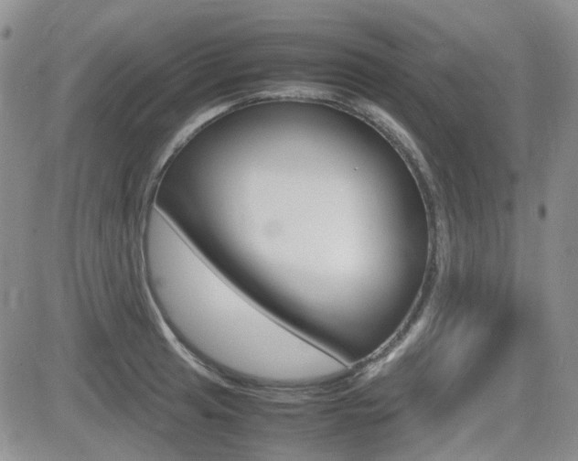 X0000082701041200701260925