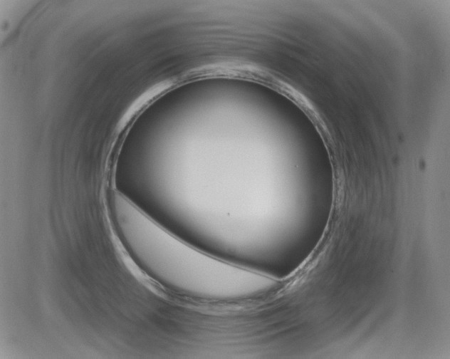 X0000082701042200701260925