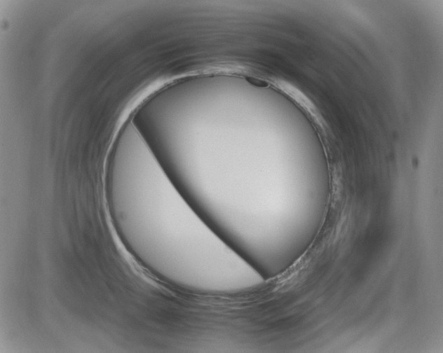X0000082701047200701260925
