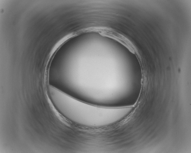 X0000082701050200701260925