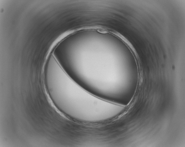 X0000082701053200701260925
