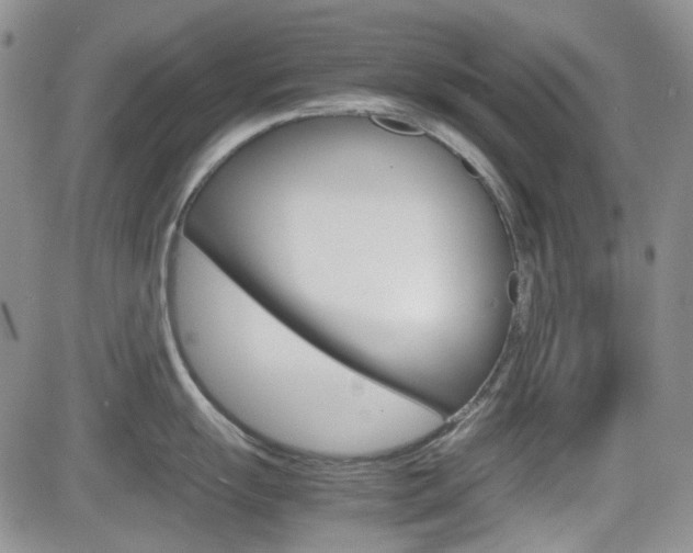 X0000082701055200701260925