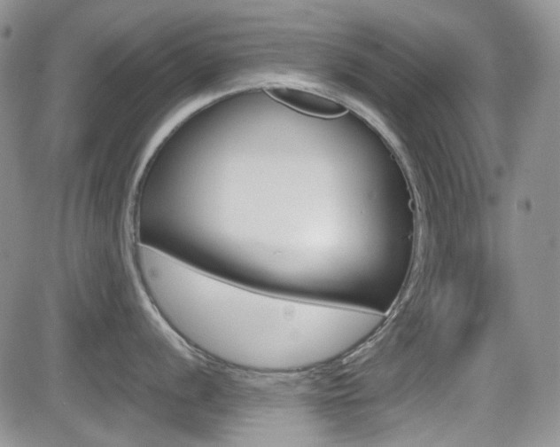X0000082701056200701260925