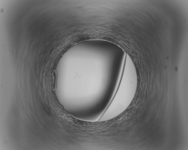 X0000082701057200701260924