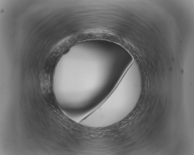 X0000082701062200701260924