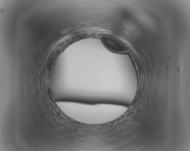 X0000082701063200701260924
