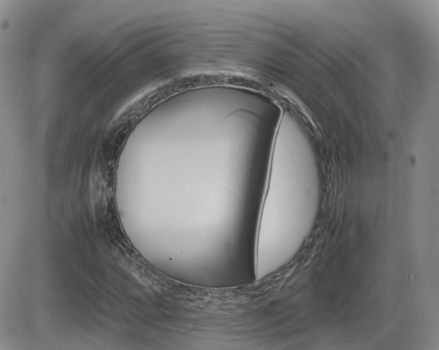 X0000082701064200701260924