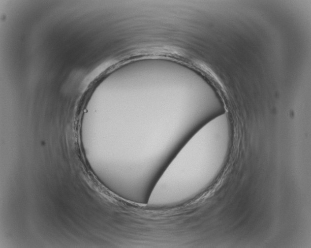 X0000082701071200701260924