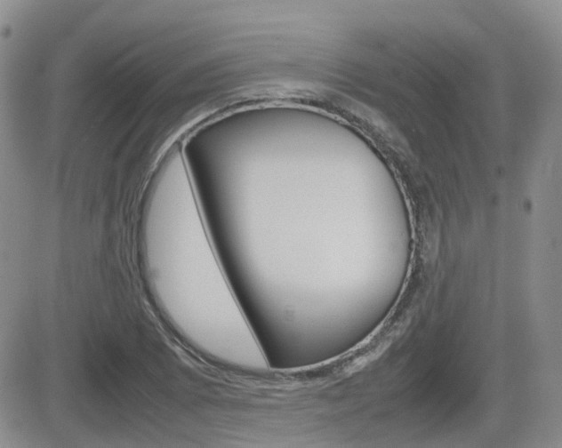 X0000082701073200701260924