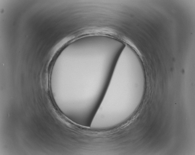 X0000082701079200701260924