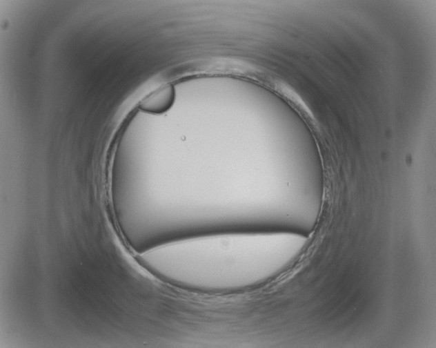 X0000082701087200701260924