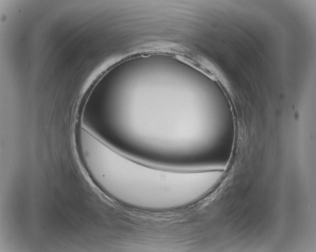 X0000082701093200701260924