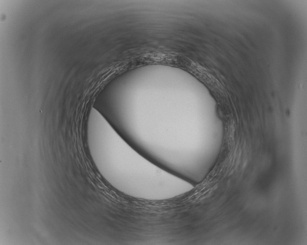 X0000082701105200701260923