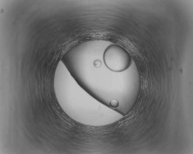 X0000082701106200701260923