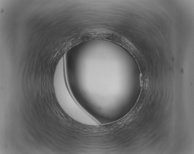 X0000082701108200701260923