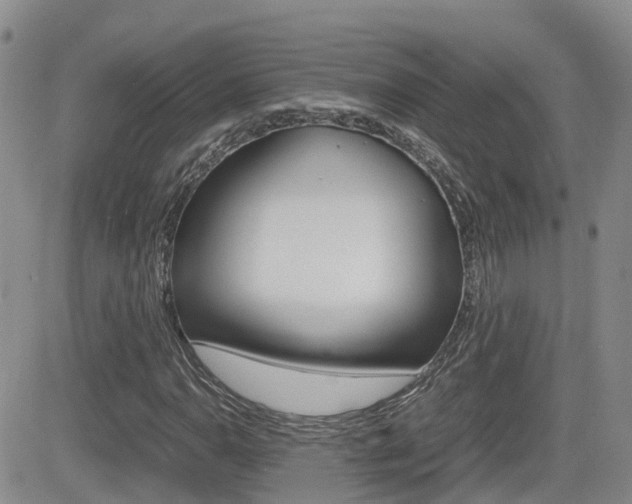 X0000082701110200701260923