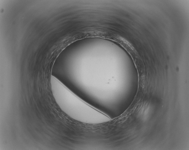 X0000082701111200701260923