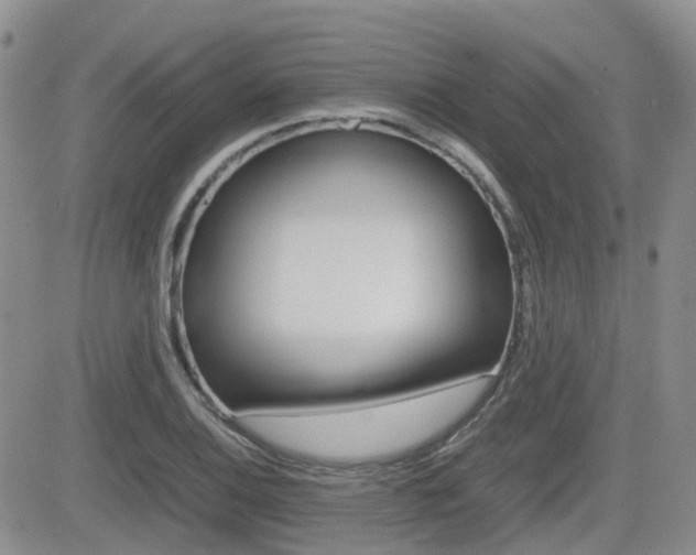 X0000082701124200701260923
