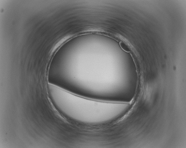 X0000082701129200701260923