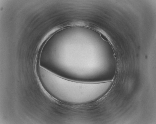 X0000082701139200701260923