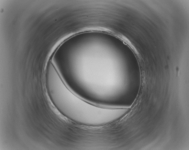 X0000082701140200701260923