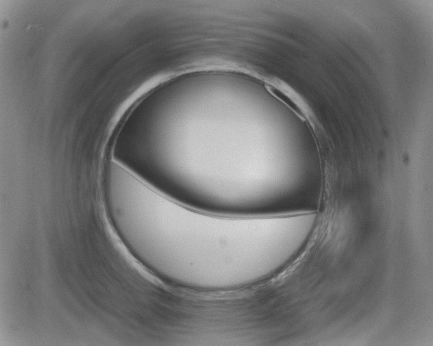 X0000082701142200701260923
