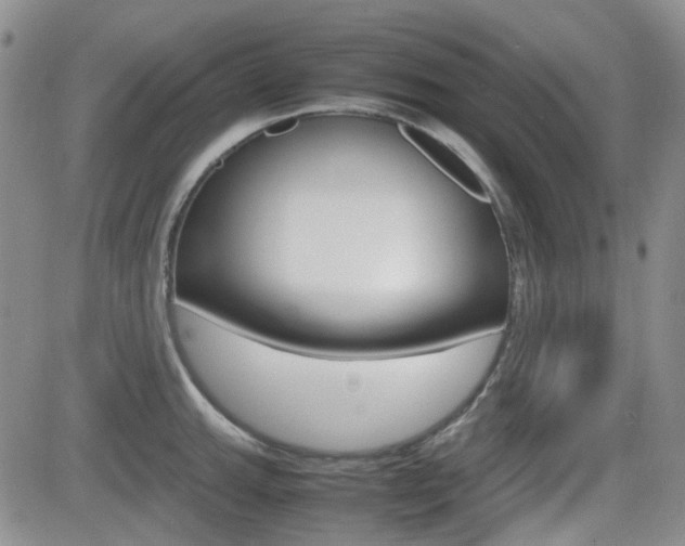 X0000082701143200701260923