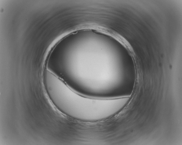 X0000082701144200701260923