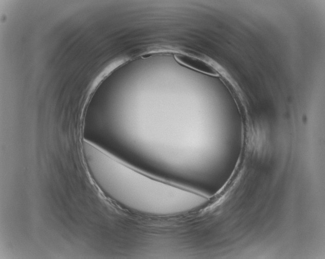X0000082701145200701260923