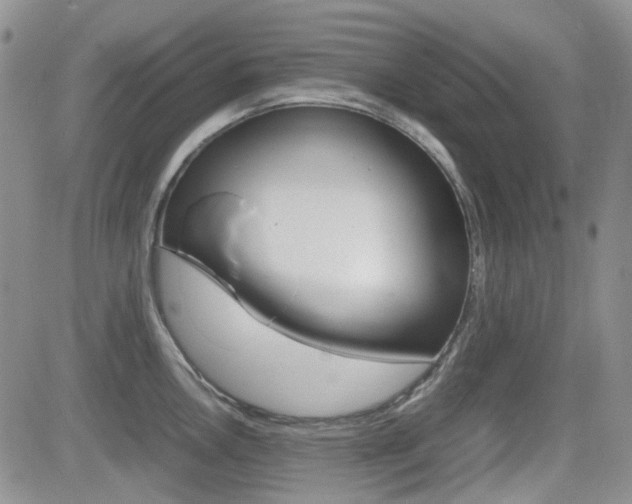 X0000082701146200701260923