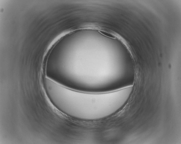 X0000082701147200701260923