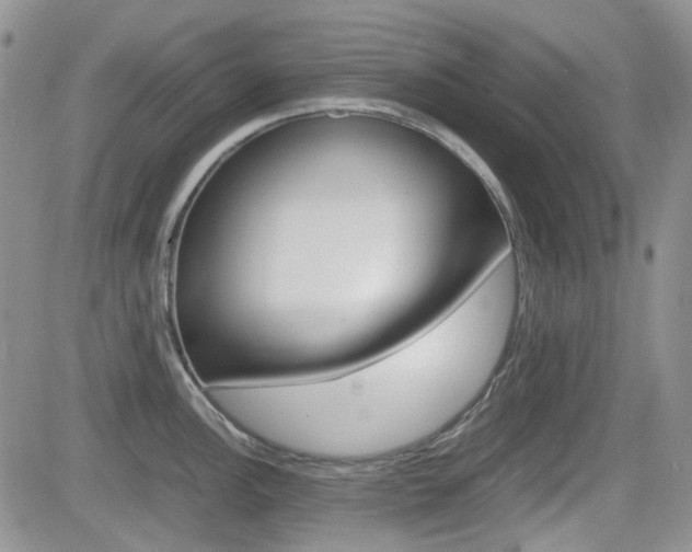 X0000082701148200701260923