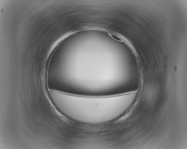 X0000082701149200701260923
