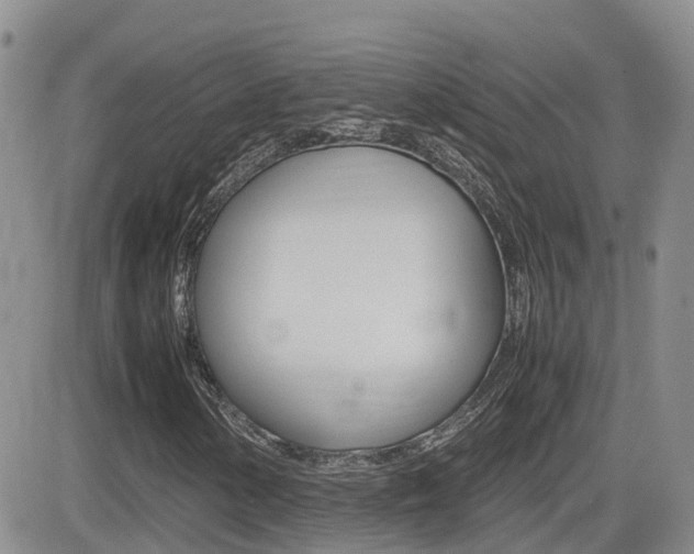 X0000082701154200701260923