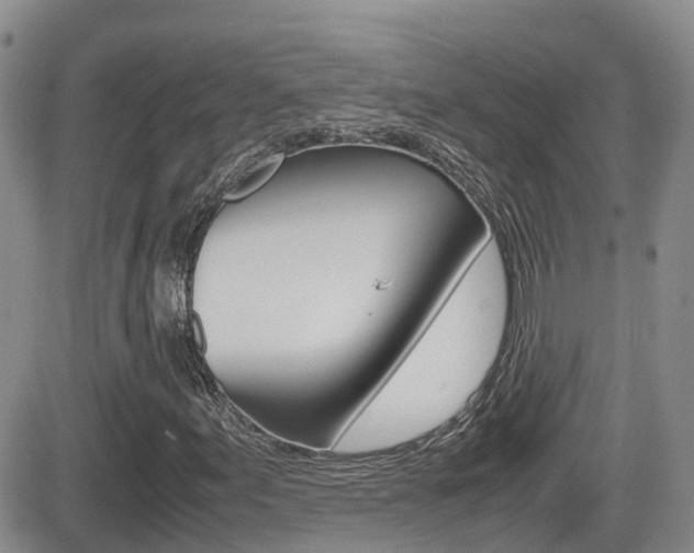 X0000082701155200701260923