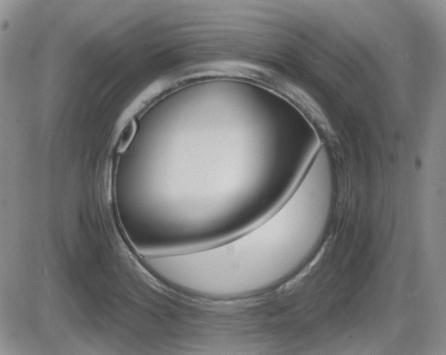 X0000082701180200701260922
