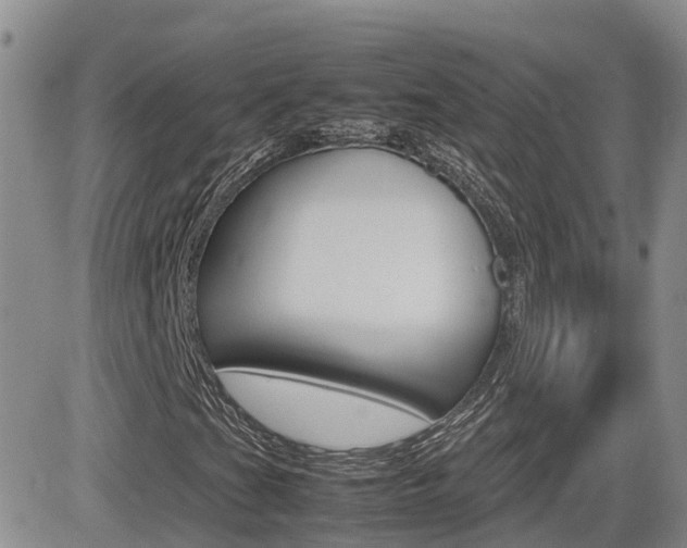 X0000082701201200701260921