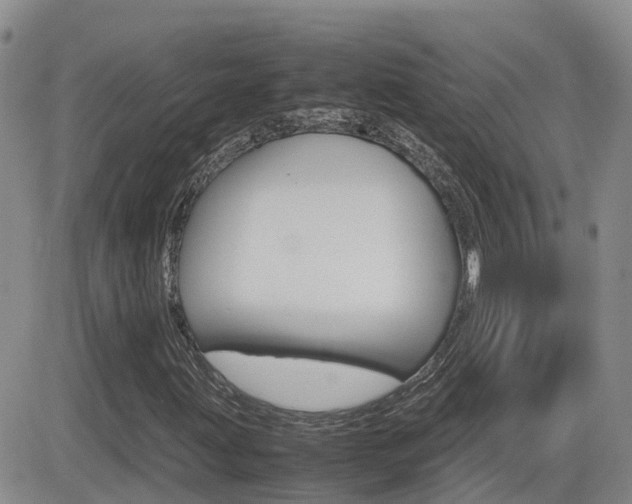 X0000082701203200701260921