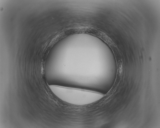 X0000082701204200701260921