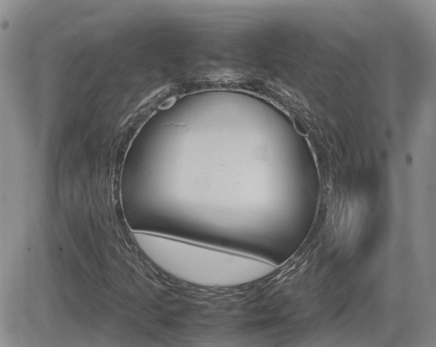 X0000082701205200701260921