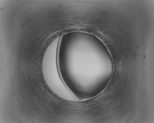 X0000082701206200701260921