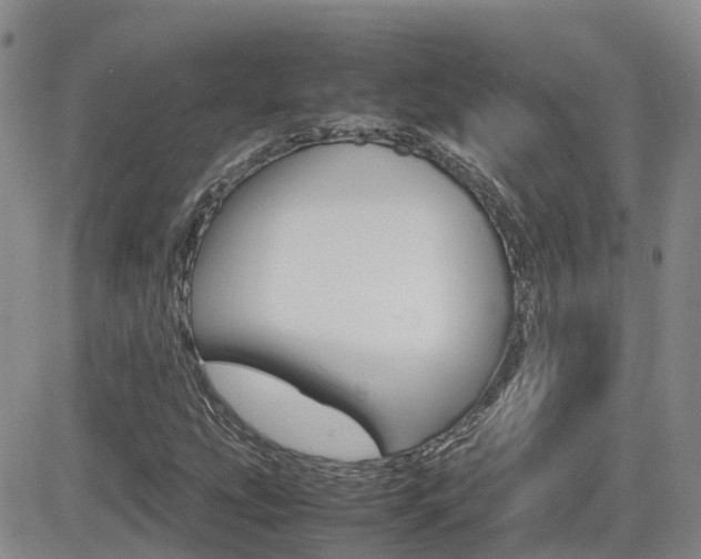 X0000082701207200701260921
