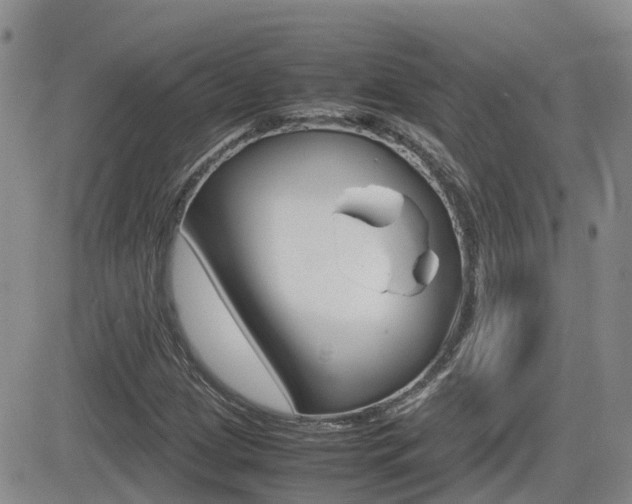 X0000082701209200701260921