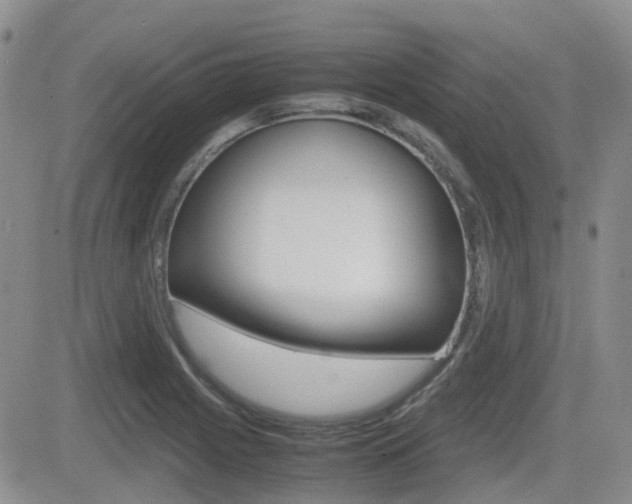 X0000082701225200701260921