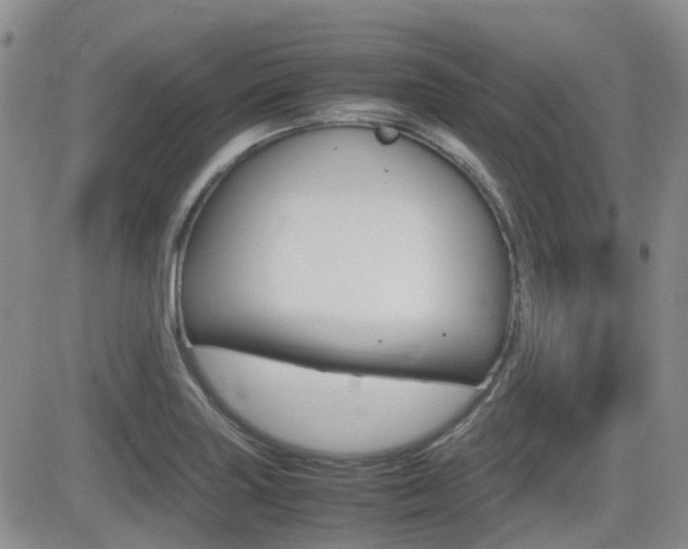 X0000082701227200701260921