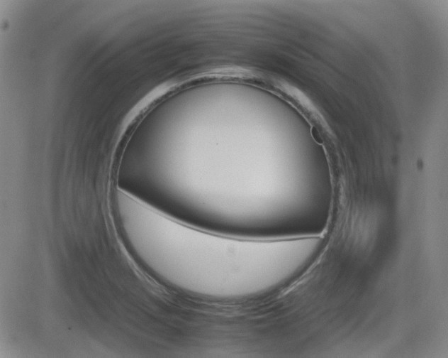 X0000082701229200701260921