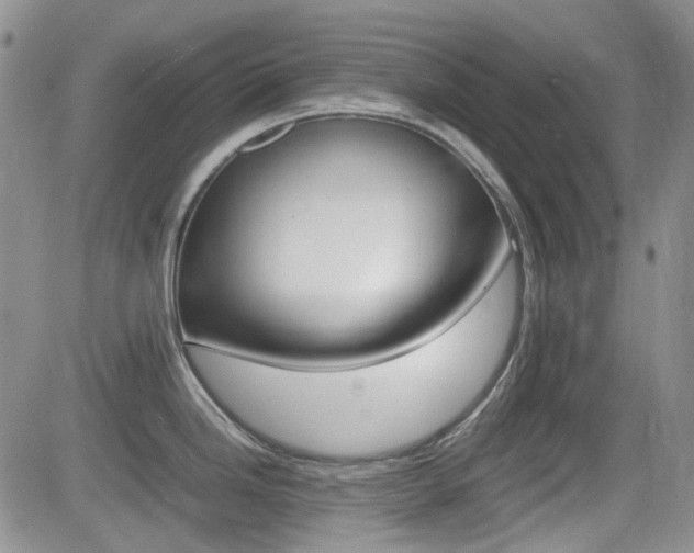 X0000082701246200701260922