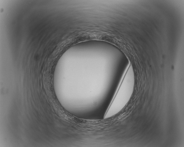 X0000082701249200701260921