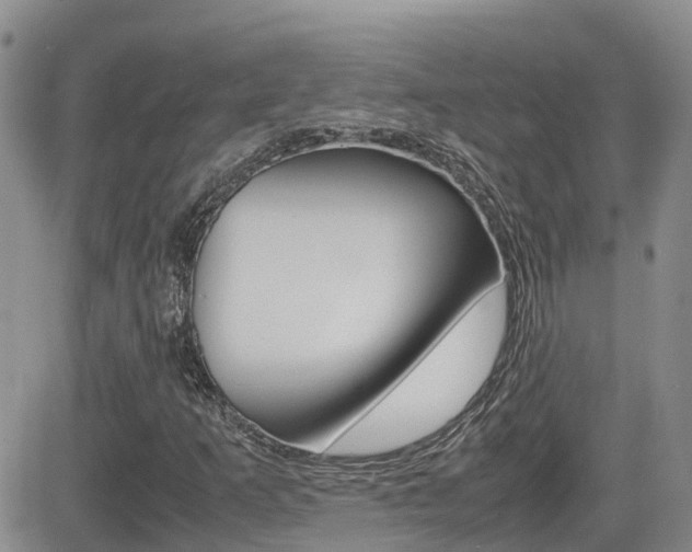 X0000082701253200701260921